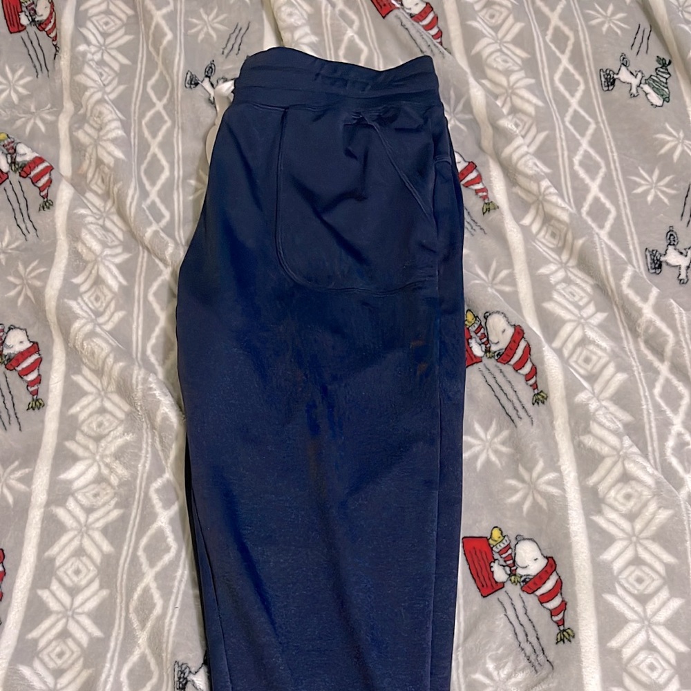 Zyia Joggers